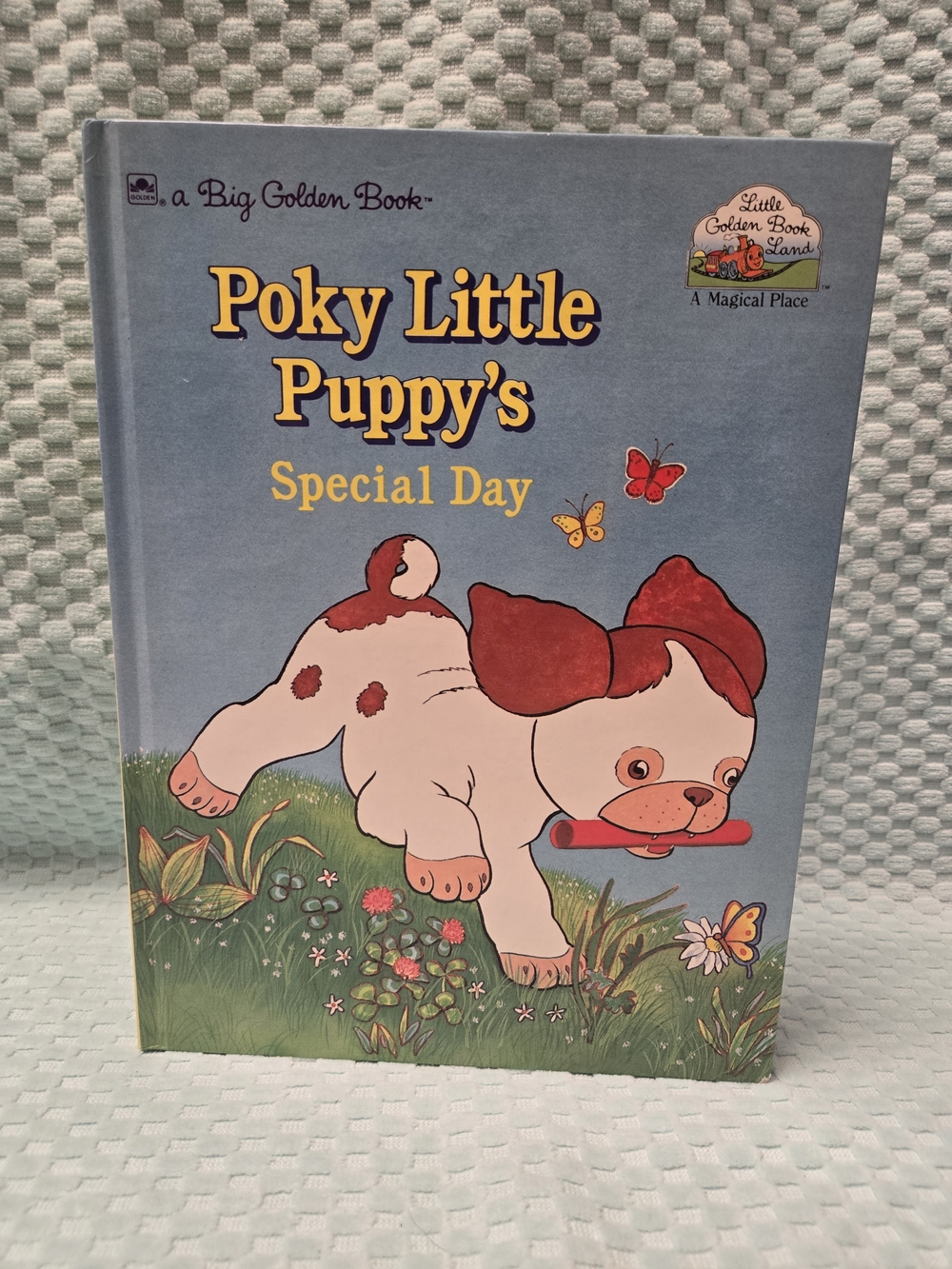 Poky Little Puppy's Special Day Hardcover Book - Little Golden Book